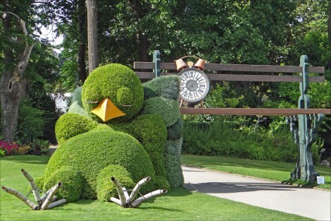 canard-jardins-des-plantes-nantes-coin-jardin.fr