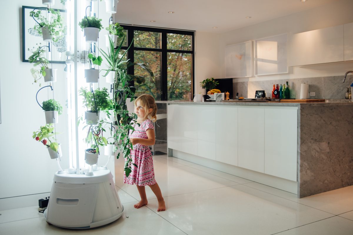 armoire hydroponique nutritower jardin potager connect 233 en culture armoire hydroponique nutritower jardin potager connect 233 en culture