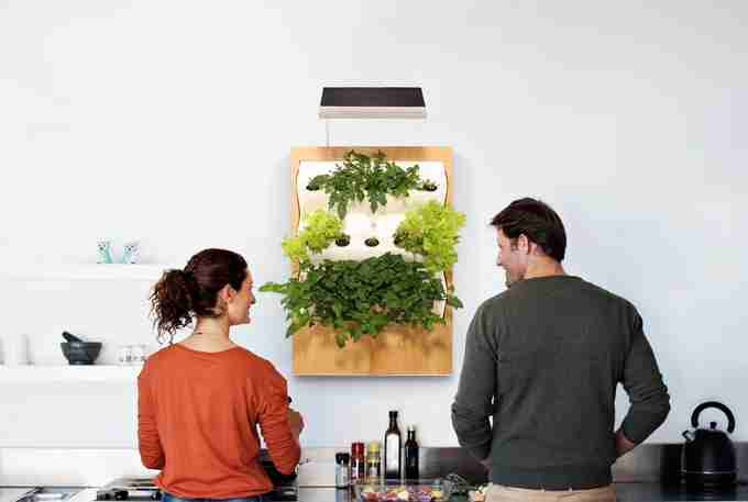 tableau mural végétal cuisine herbert