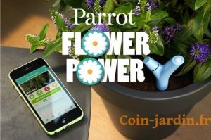 Flower-Power-Parrot (3)_coin-jardin.fr